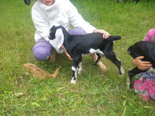 13503109_10157024760950357_6856629063738511048_o