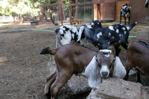 3122-ISO400-05_28_2018-byTeamGallo