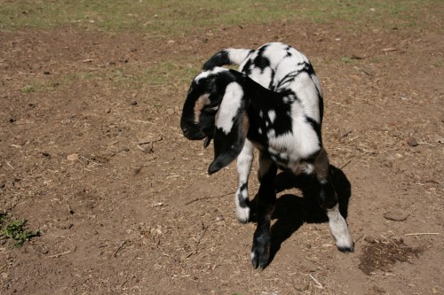 3165-ISO100-05_28_2018-byTeamGallo