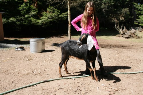 3173-ISO100-05_28_2018-byTeamGallo