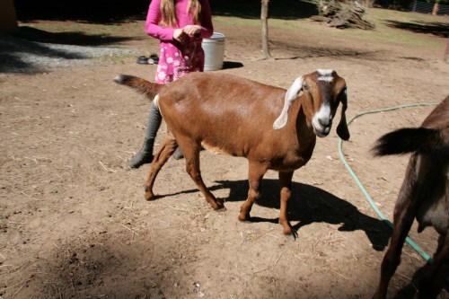 3179-ISO100-05_28_2018-byTeamGallo